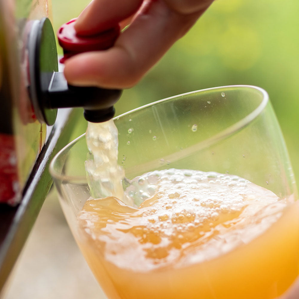 Apfelsaft vom Hochstamm (5 Liter Bag-in-Box)